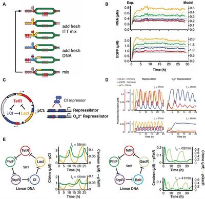 A comprehensive review of Microfluidic approaches in cell-free synthetic biology